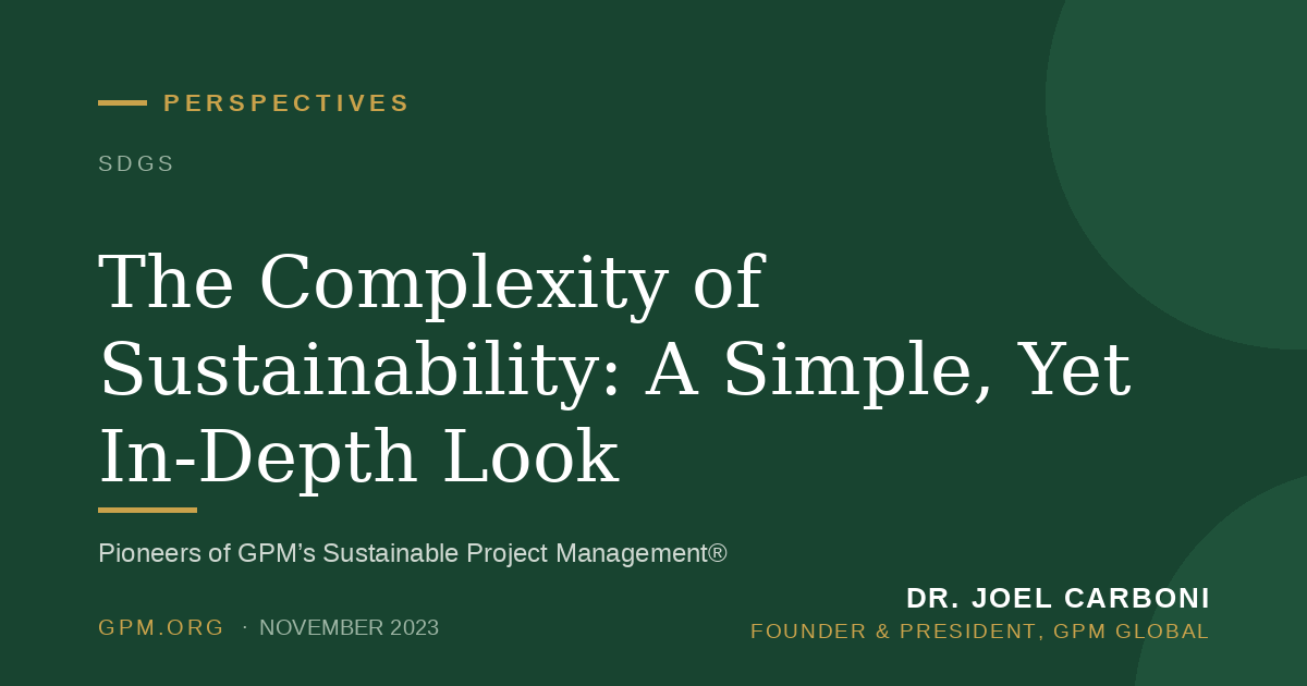 The Complexity of Sustainability: A Simple, Yet In-Depth Look