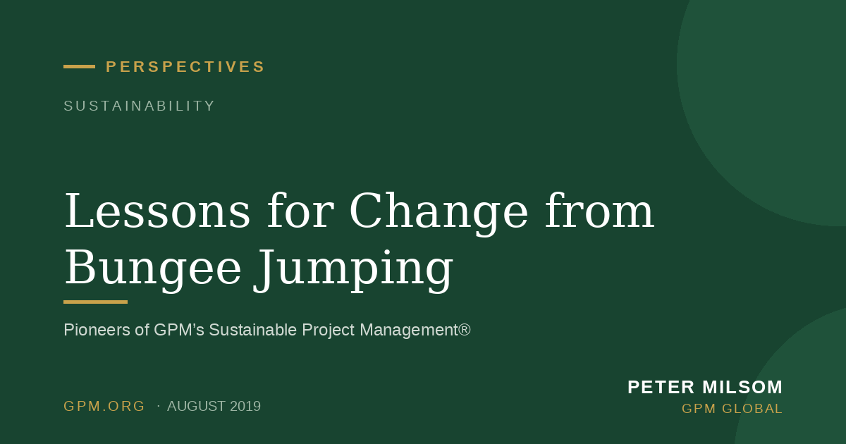 Lessons for Change from Bungee Jumping